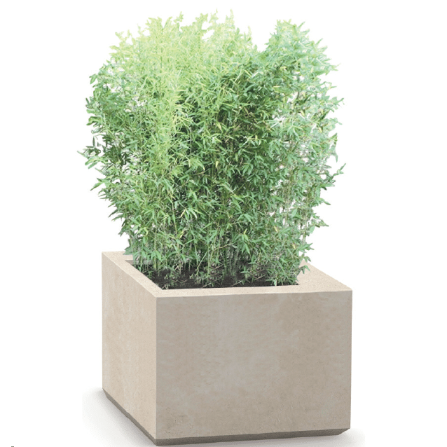 Jardi modulable arbuste salon 2